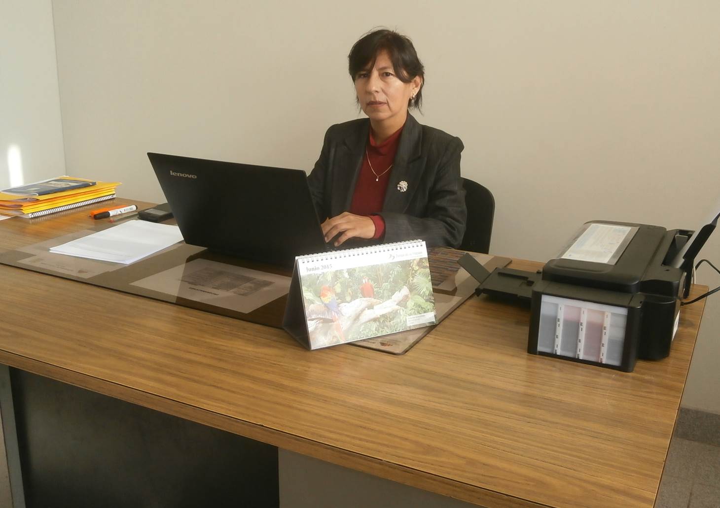 DIRECTORA 2015